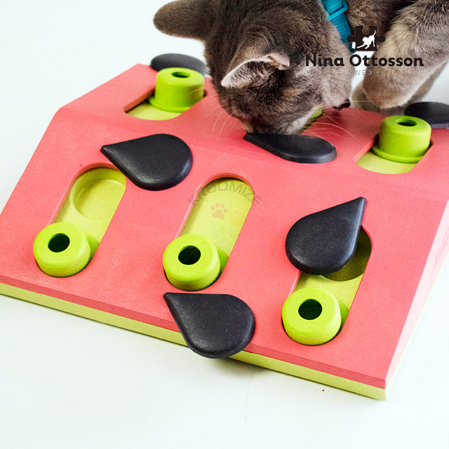 니나오토슨 매드니스 퍼즐&amp;플레이 고양이 지능개발 노즈워크 장난감