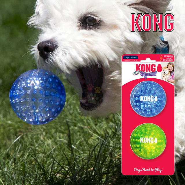 콩 KONG 스퀴즈 지오즈 2개입 강아지 공장난감