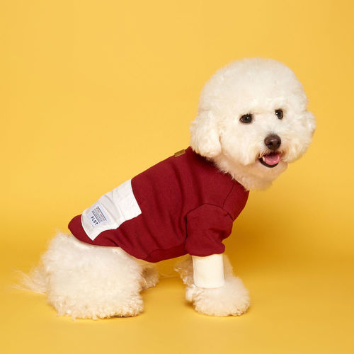 플로트 아노락 맨투맨 포켓 티셔츠 버건디아이보리 소형견 중형견 강아지옷
