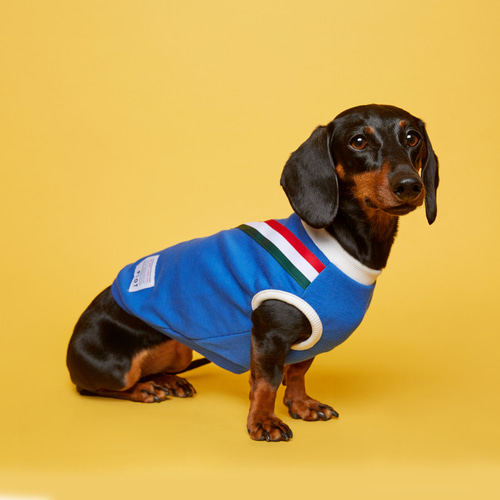 플로트 V라인 민소매 티셔츠 블루화이트 3색컬러 포인트 소형견 중형견 강아지옷