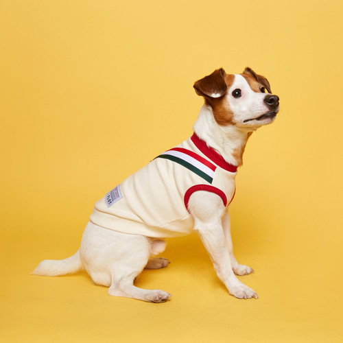 플로트 V라인 민소매 티셔츠 아이보리레드 3색컬러 포인트 소형견 중형견 강아지옷