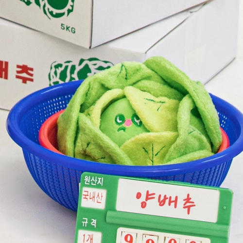 바잇미 양배추 킁킁볼 노즈워크 삑삑이 바스락 강아지 장난감
