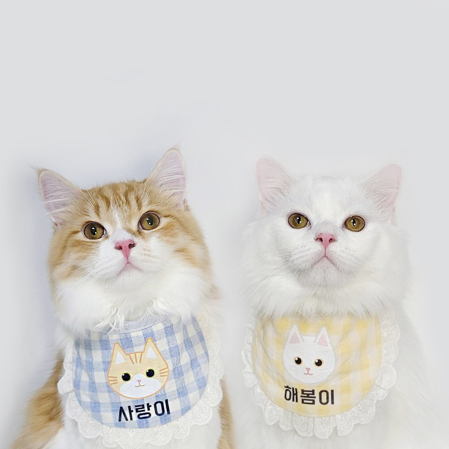 리토가토  코튼캔디 커스텀 빕 고양이 캐릭터 열전사 인쇄